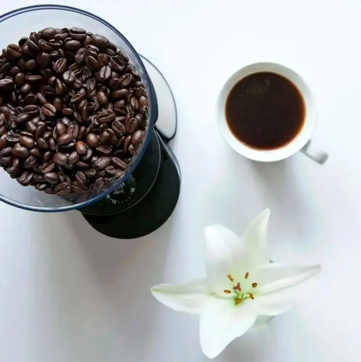 Molinillo de Café Oster 18 Ajustes